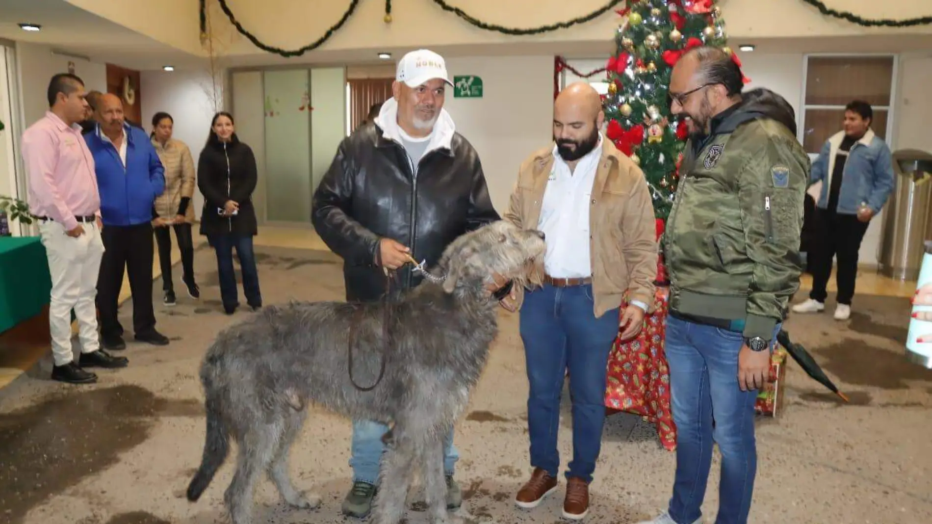  carrera atlética Fuerza Canina (1)